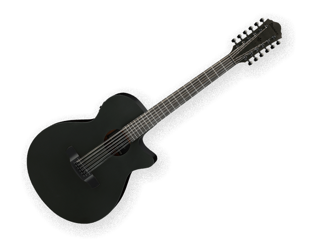 Guitarra Electroacústica Ibanez Aeg de 12 Cuerdas Negro Mate