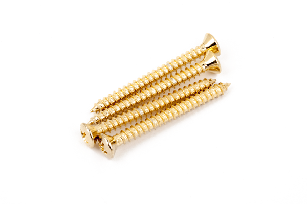 Tornillos de Montaje para Mastil Dorado