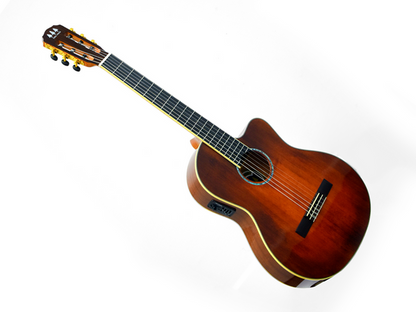 Tres Pinos TPCES-0600 BR — Guitarra Electroacustica Tres Pinos, Café Transparente