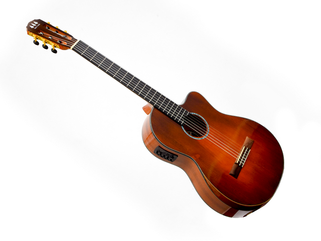 Tres Pinos TPCE-0700 BR — Guitarra Electroacustica Tres Pinos, Cafe Transparente