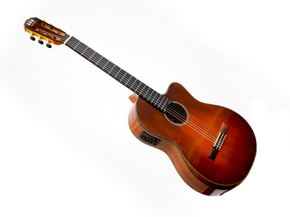 Tres Pinos TPCE-0700 BR — Guitarra Electroacustica Tres Pinos, Cafe Transparente