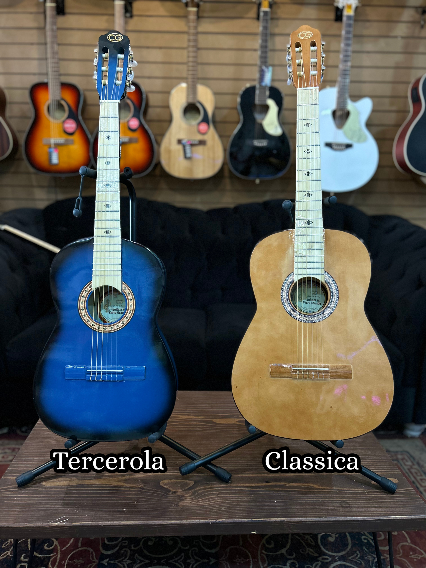 Guitarra Clasica Cg