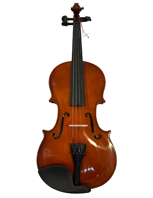 Violin 4/4 Amadeus Cellini Laminado Brillante