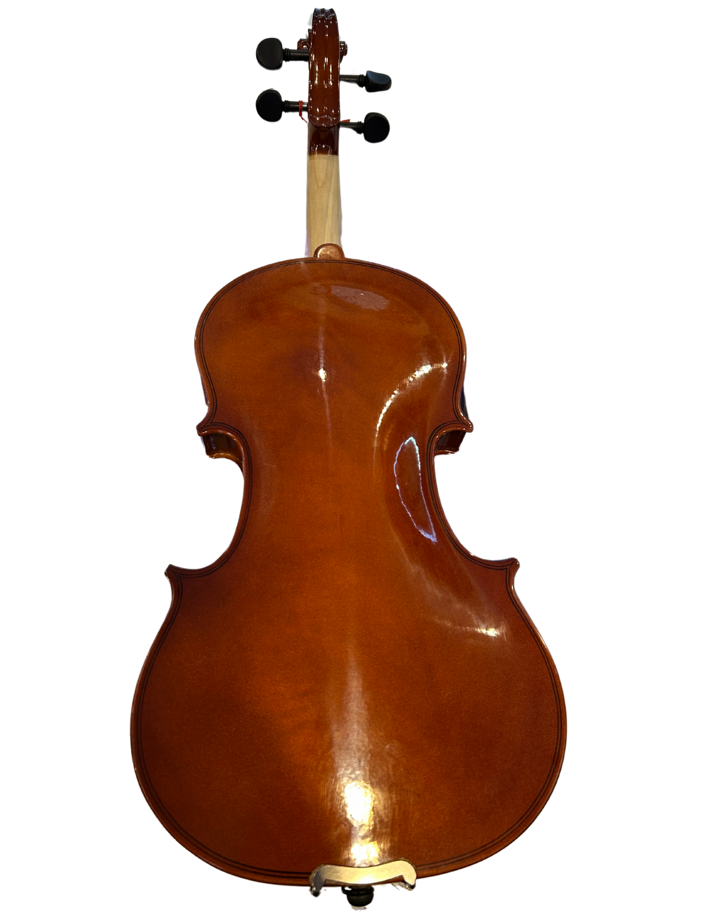 Violin 4/4 Amadeus Cellini Laminado Brillante