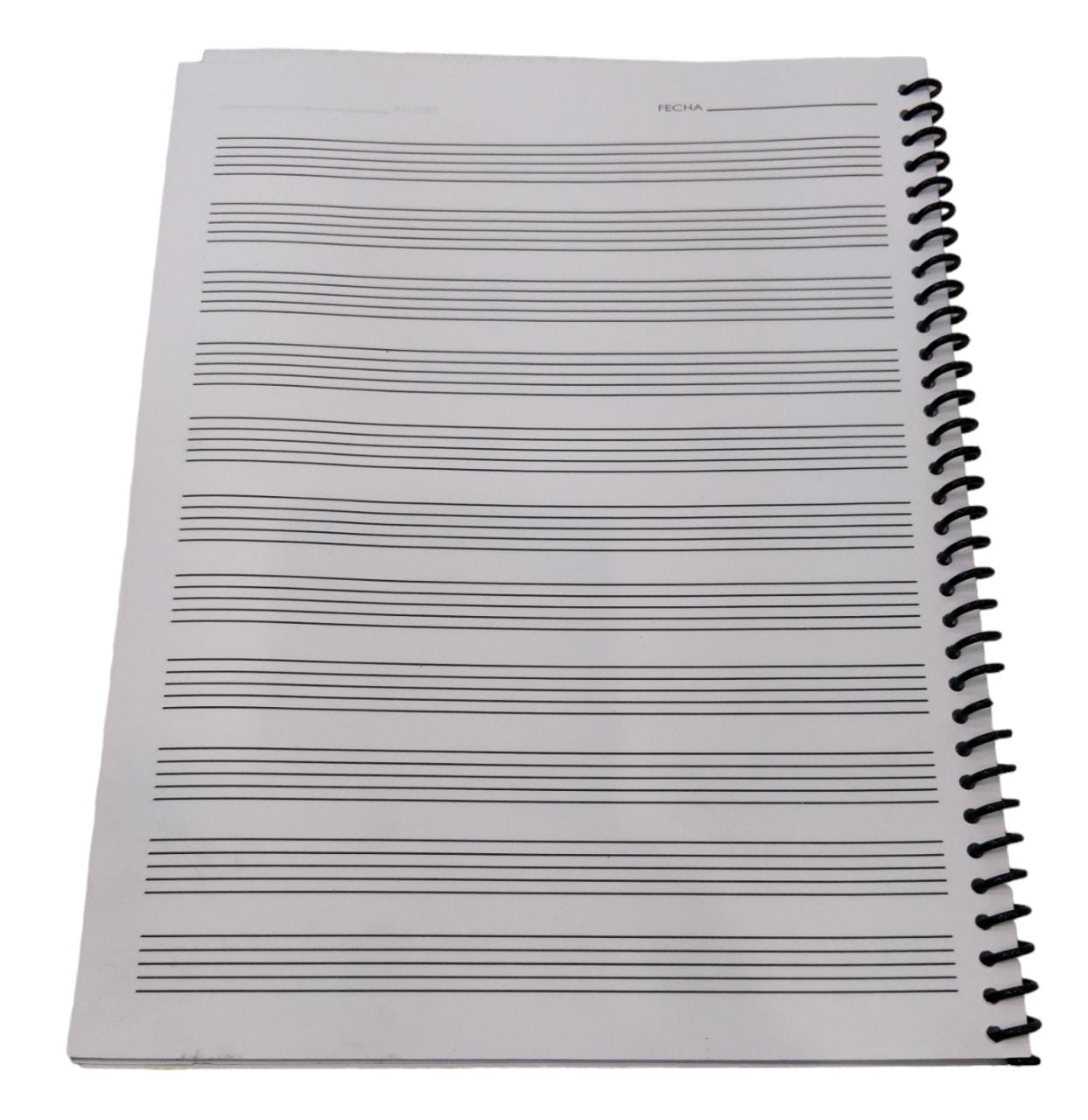 Cuaderno Pautado Profesional 60 Paginas