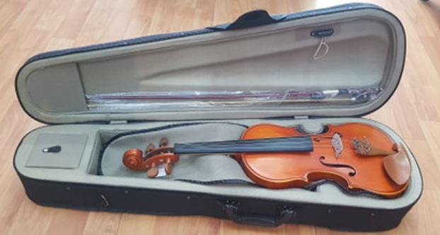 Violin 4/4 Amadeus Cellini Mv100 Atigrado Solid Spruce Glossy