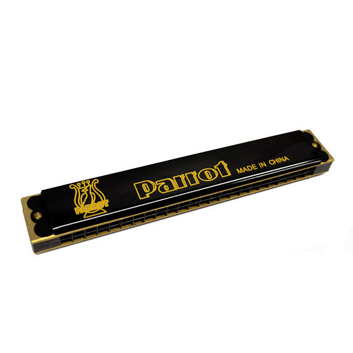 Armonica Metalica 24 Hoyos Dobles Colores Hd24-1