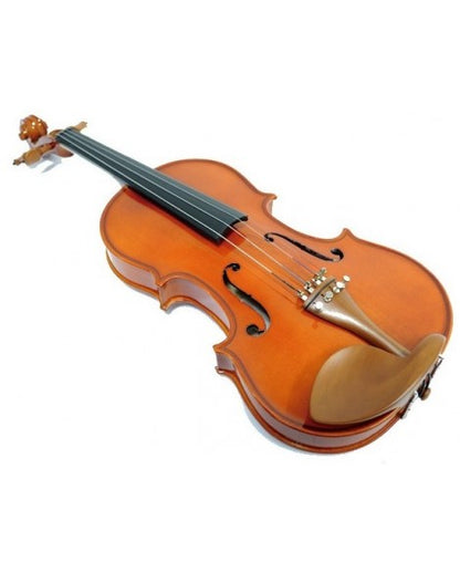 Violin 4/4 Amadeus Cellini Mv100 Atigrado Solid Spruce Glossy